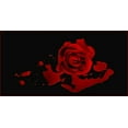 thumbnail image 1 of Bleeding Love - CANVAS OR FINE PRINT WALL ART, 1 of 1