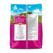 Kaytee Fiesta Big Bites Small Parrot & Conure Food 4 Pounds
