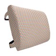 thumbnail image 1 of Fish Scale Lumbar Pillow, Diagonal Circles Pattern in Rainbow Colors Geometric Japanese Wave Tile Design, Soft Back Cushion Office Chairs with Adjustable Straps, 14" x 13", Multicolor, by Ambesonne, 1 of 7