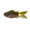 Green Pumpkin Pro, variant on 6th Sense – FlipGill 3.8 – Soft Plastic Bluegill Swimbait – Bass Fishing – Texas Rig/Weightless/Jighead