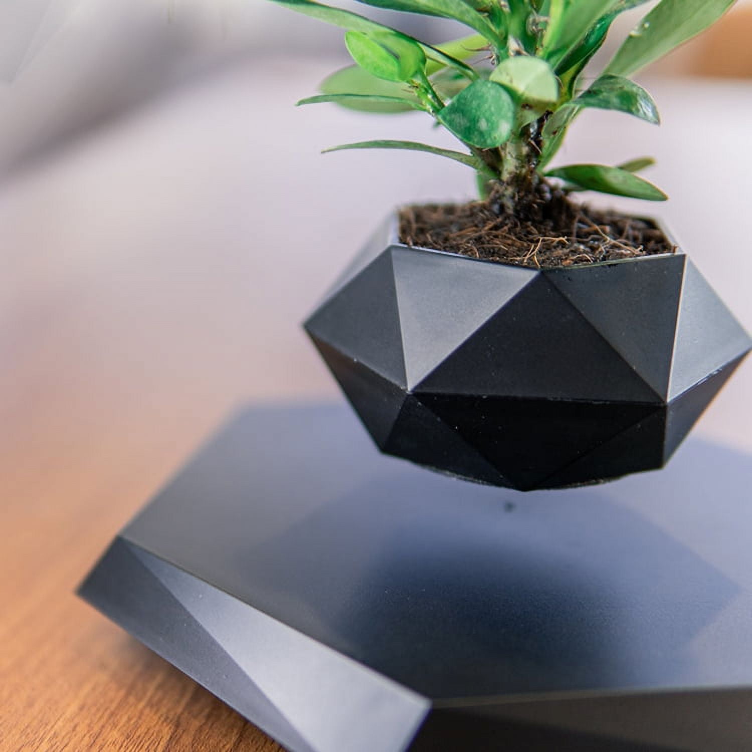Dwellnix Smart Levitating Flower Plant Pot Home Decor Hovering Floating Magnic Plant Pot