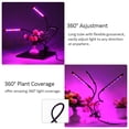 thumbnail image 3 of Lámpara para Plantas de Interior LED 36W Lámpara de Crecimiento para Cultivo de Plantas y Flores, Lu de Interior y Exterior(Tira) Lámpara para Plantas Spptty jardinería, 3 of 7