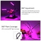 thumbnail image 3 of Lámpara para Plantas de Interior LED 36W Lámpara de Crecimiento para Cultivo de Plantas y Flores, Luz de Planta para Crecimiento Plantas de Interior y Exterior(Tira) LYUMO Lámpara para Plantas de Interior LED 36W Lámpara de Crecimiento para Cultivo de Plantas y Flores, 3 of 6