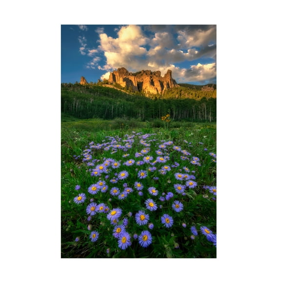 Canvas Wall Art - Mei Xu 'Canyon And Daisies' Wall Art for Living Room, Bedroom, or Office Décor by Trademark Fine Art - 12 x 19 Inches