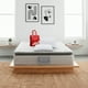 thumbnail image 1 of Colchon Queen Size América Melody + Almohadas Atlas Basics, 1 of 6