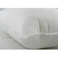 thumbnail image 4 of 16x12 or 12x16 | Indoor Outdoor Hypoallergenic Polyester Pillow Economical Insert, 4 of 7