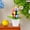 Gold, variant on Artificial Easter Eggs potted plant, 6.69*2.76*2.76 in Easter Eggs Decor, Easter Eggs Bonsai for Indoor