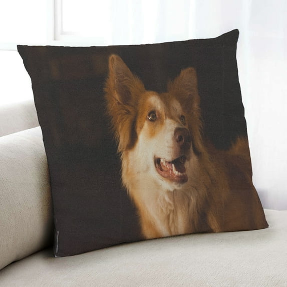 Ahgly Company Dogs Dogs Indoor Throw Pillow, 18 inch by 18 inch