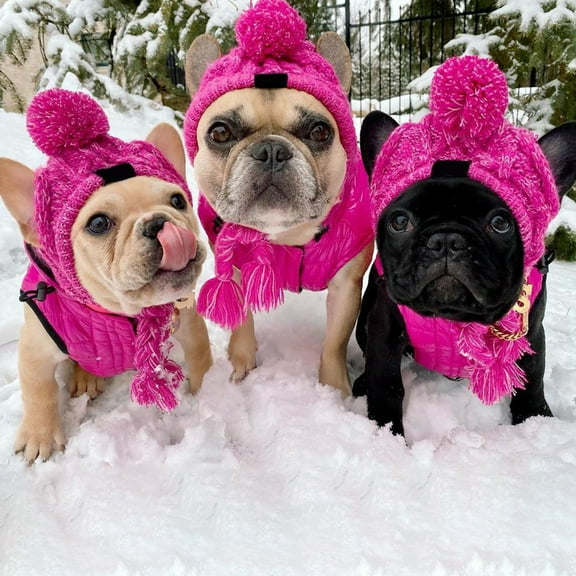 Pet Dog Knitted Scarf and Hat Set Winter Neck Ear Warmer