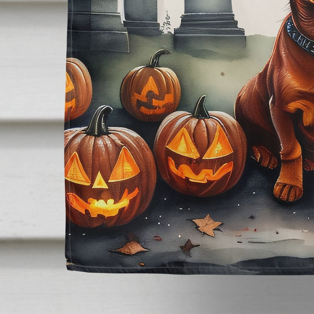Halloween Dachshund Dog House Flag 28x40IN Double-Sided Polyester Decorative Sleeve Pole Flag for Outdoor Home Garden