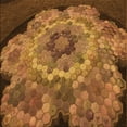 thumbnail image 1 of Ahgly Company Machine Washable Indoor Square Transitional Saddle Brown Area Rugs, 8' Square, 1 of 7