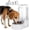 White, variant on Elevated Dog Water Dispenser: 9L Gravity Auto Refill -Senior & Joint-Friendly Comfort Height - Leak-Proof - Stainless Steel Bowl -for Large Dogs -Multi-Pet Homes -Kitchen/Living Room/Garage