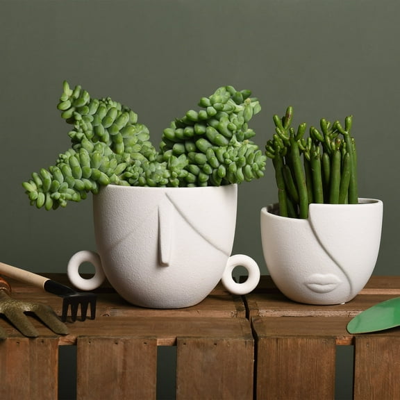 Quoowiit Ceramic Succulent Planter Pots for Indoor Plants with Drainage Holes, Herb Garden Head Planters Set of 2,White 5.4"W