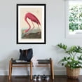 thumbnail image 3 of Art.com American Flamingo, 1838 Giclee Print by John James Audubon, Black Frame Wall Art, 32" x 44", 3 of 5