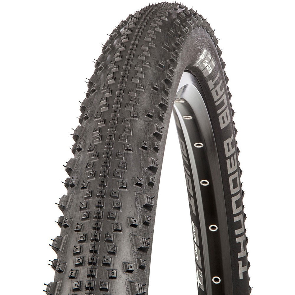schwalbe thunder burt 29