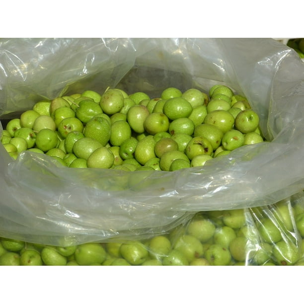Olives Market Drupes Green Green Olives20 Inch By 30 Inch Laminated