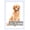 white, variant on 5.5x8.5 Picture Frame,Document Frame Certificate Frames Display Diplomas 5.5x8.5 Inch Frame with Stand Frame Wall and Tabletop Document and Tax Certificate Self Standing with Wall Hangers Oak