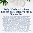 thumbnail image 3 of Dr Teal's Body Wash, Relax & Relief with Eucalyptus & Spearmint 24 oz (Pack of 6), 3 of 6