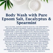 Dr Teals Body Wash, Relax & Relief with Eucalyptus & Spearmint 24 oz (Pack of 2)