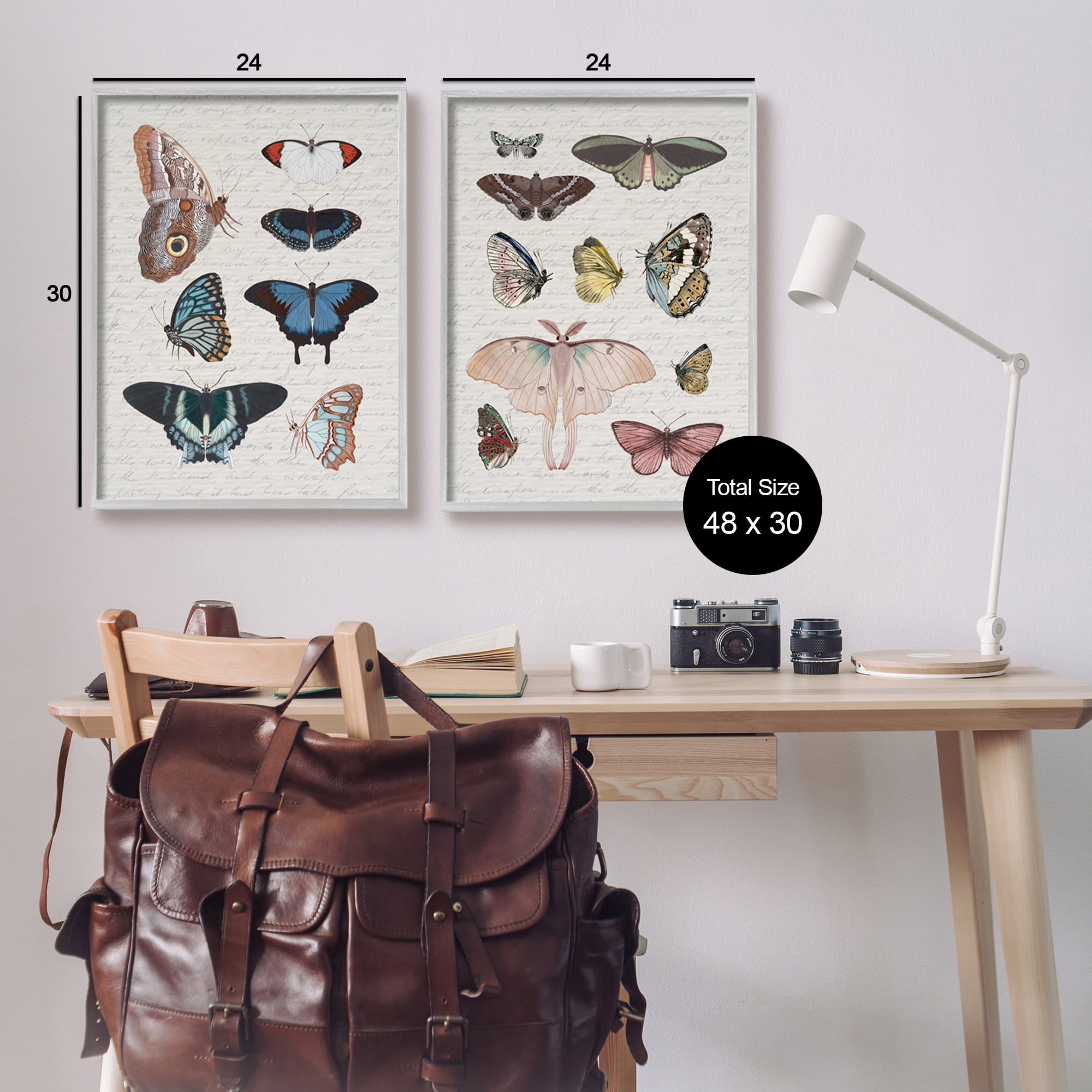 Stupell Industries Vintage Butterflies & Moths Animals & Insects Painting Gray Framed Art Print Wall Art, 24 x 30