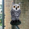 thumbnail image 4 of jinwen Fake Owl Bird Rabbits Deterrent for Garden Protector Keep Birds Away 13x27cm, 4 of 8
