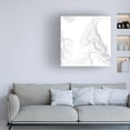 thumbnail image 3 of June Erica Vess 'Topography Contour IV' Canvas Art, 3 of 4