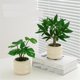 thumbnail image 4 of Escritorio de interior con plantas artificiales, plantas verdes en macetas pequeñas, mesa de centro for sala de estar, arreglo floral falso., 4 of 5