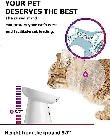 Slow Feeder Cat Bowl, Ceramic Cat Slow Feeder Bowl, 6 Inches, Elevated, Anti Vomiting for Dry and Wet Food, White
