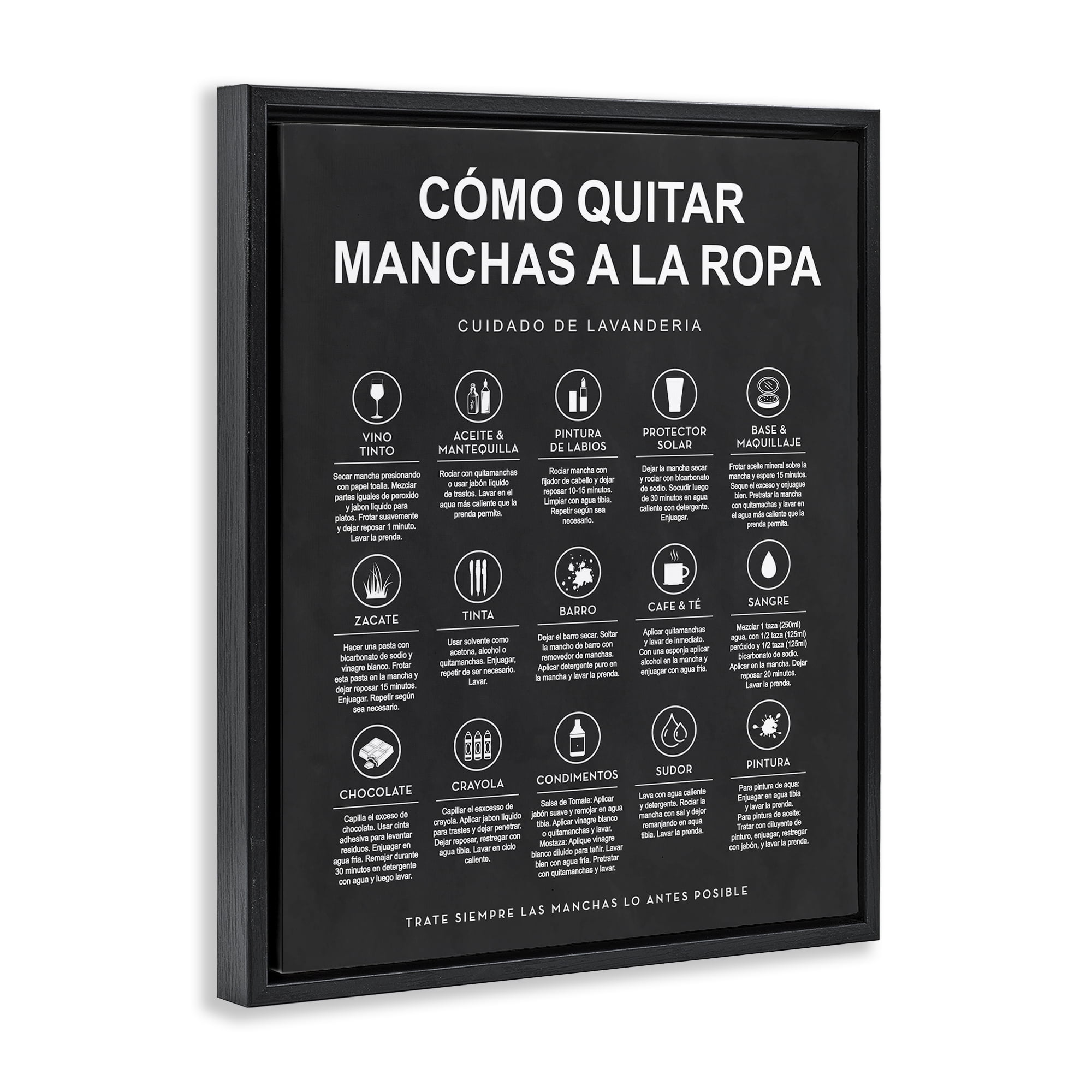 Stupell Industries Guía de Limpieza de Manchas, Negro Bath & Laundry Painting Black Floater Framed Art Print Wall Art, 25 x 31