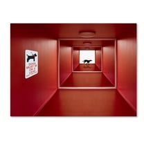 Jacqueline Hammer 'Dog On The Loose' Canvas Art