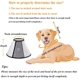 thumbnail image 2 of Collar protector ajustable ZHAOCHENG para perros y gatos cirugía antimordeduras, 2 of 5