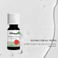 thumbnail image 4 of SOUTH MOON Nail Fungus Solution 10ml Toenail Fungus Treatment for Fragile, Discolored & Damaged, 4 of 5