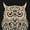 Owl Silhouette, variant on TalkingCase Slim Fit Phone Case Compatible for Samsung Galaxy S25(Not S25+ Plus/Ultra), Antique Globe Print, Lightweight,Flexible, USA Print