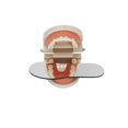 thumbnail image 2 of 5 Pieces/Set Tooth Reflective Glass Intra-oral Mirror Spare Part Accessory Double Sides Reflector Mouth Teeth Mirrors Inspection Tool Accessory, 2 of 9