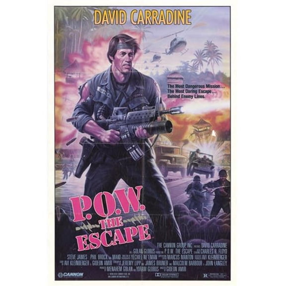 P.O.W. The Escape Movie Poster (11 x 17)
