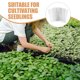 thumbnail image 2 of 4 bandejas de semillas para microvegetales, almohadillas de malla para bandejas de siembra, almohadillas de cultivo de malla, 2 of 8