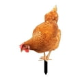thumbnail image 3 of DOLITY Acrylic Chicken Statue Stake Animal Statue for Swimming Pool Courtyard Patio 27cmx16.3cm, 3 of 9