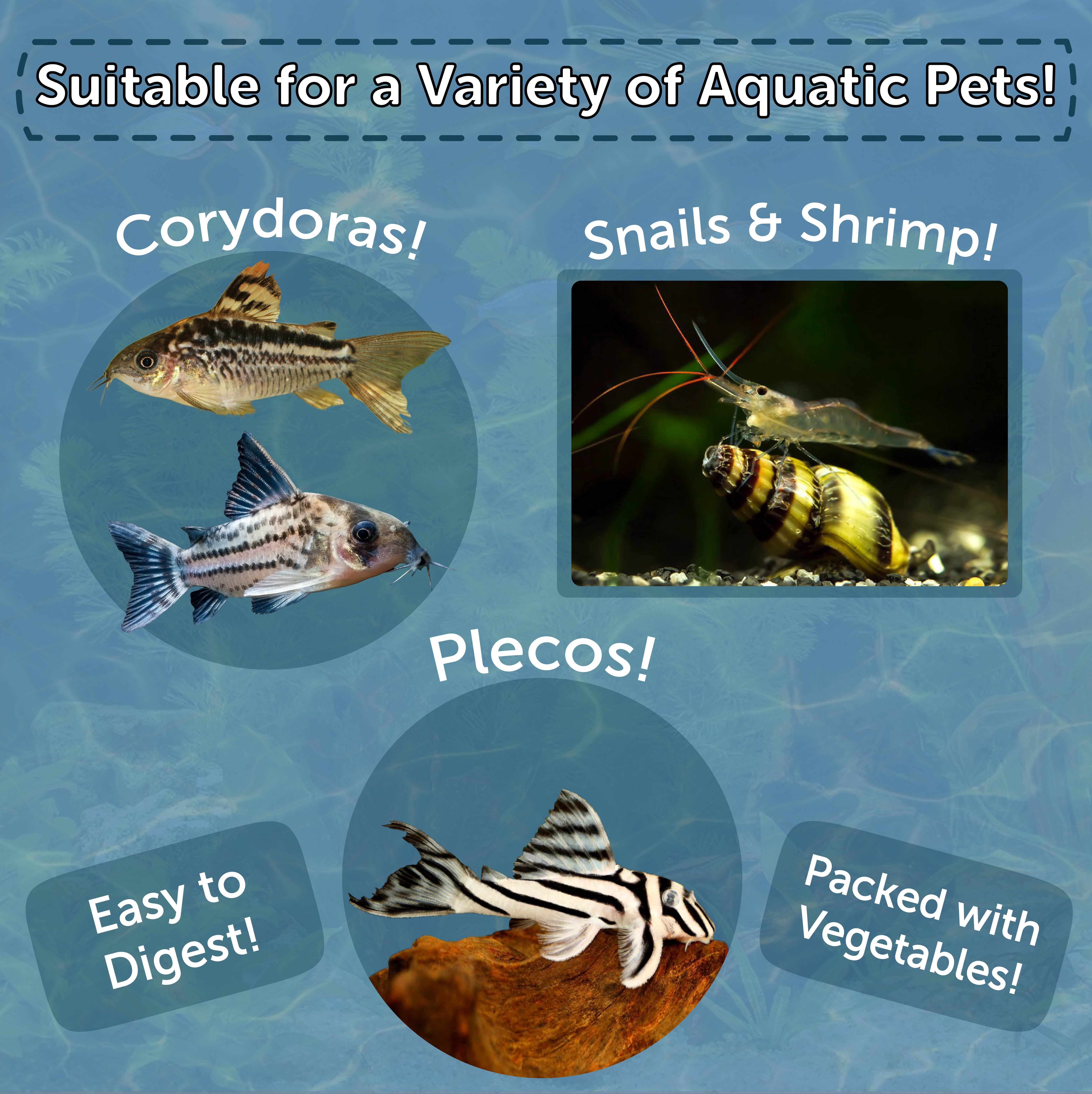 Aquatic Foods Wafers of Spirulina Algae, Algae Vegies, The Premium Pleco, Catfish, Bottom Fish Food - 45-lbs… AFI