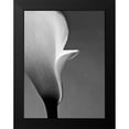 thumbnail image 2 of PhotoINC Studio 12x14 Black Modern Framed Museum Art Print Titled - Calla No. 5, 2 of 5
