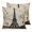 Sepia, Black, Beige, variant on Pillow Covers 18x18 Set of 2, Paris Tower Throw Pillow Covers Decorative Couch Cushion Cover, Vintage Words Beige Grey Microfiber Soft Square Pillowcases for Bedroom Living Room Sofa