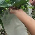 thumbnail image 5 of 100 Fruit Protection Bag Net Bags Grape Bunch Protection Against Birds And Insects Wasps Hornets 30 x 20 cm, 5 of 5