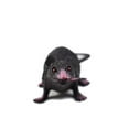 thumbnail image 1 of Plastic Rat Toy, Halloween Decoration, Terrible Prank Props, 1 of 3