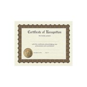 Great Papers® Recognition Stock Foil Certificate, 11" x 8.5", 6/Pack (930200)