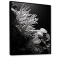 thumbnail image 2 of Designart "Monochrome Coral And Anemone Realm IV" Coastal Coral Under Water Floater Framed Wall Art Living Room, 2 of 5