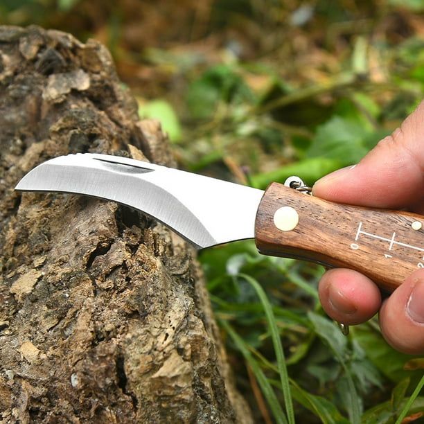 Couteau multifonctionnel extérieur Camping petit couteau brosse sauvage  survie COUTEAU PLIANT COUTEAU PLIANT（2 PCS） 