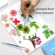 thumbnail image 4 of 60 piezas de margaritas secas en relieve con diseño floral de resina para hacer joyas, velas, jabón, jarrones, pegatinas, libros, manualidades, decoración floral, 4 of 5