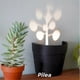 thumbnail image 1 of Indoor Plant Light for Projecting Shadows and Illuminationideal,Black, 1 of 5