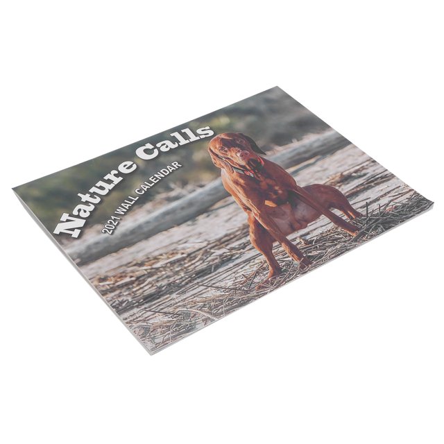 Calendario colgante, calendario con diseño de perro, calendario de pared 2021, calendario de regalo compacto y ligero