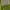 Green, variant on Ozark Trail 11-Person Instant Cabin Tent with Private Room – 3-Room Family Camping Tent with Awning