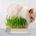 thumbnail image 3 of 3 cajas prácticas para plantas de gatos, cómodas y prácticas para el hogar, para viveros y plantas de gatos., 3 of 6